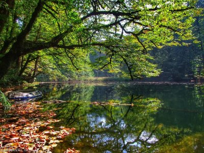دریاچه پارک جنگلی سواد کوه پلمپ شد